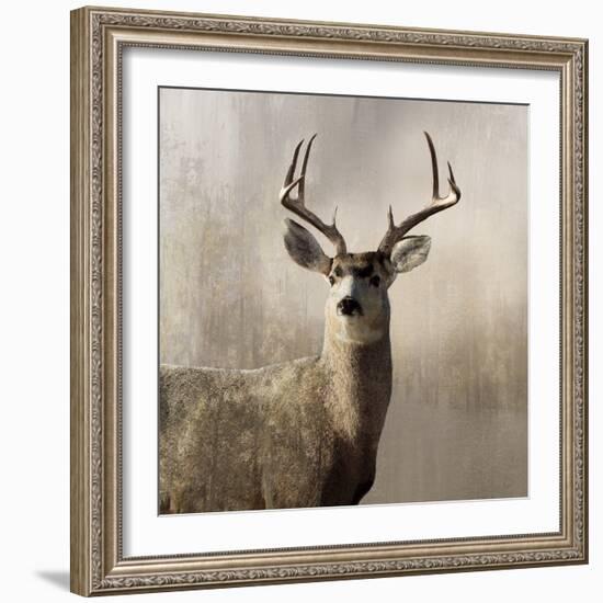 Young Buck-null-Framed Art Print