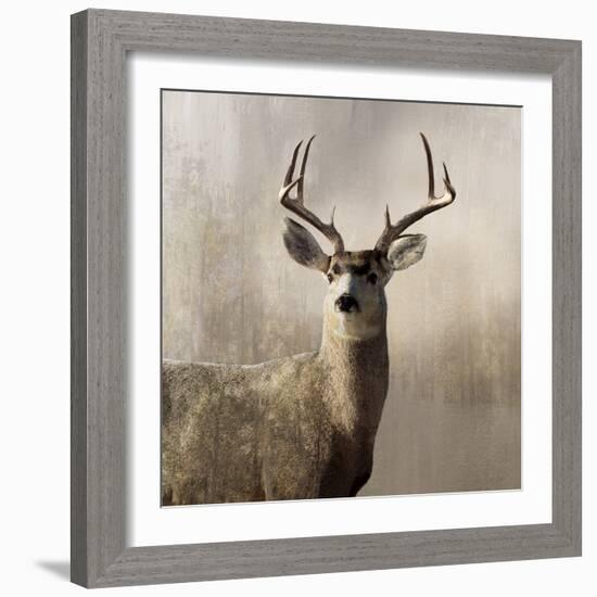 Young Buck-null-Framed Art Print