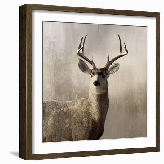 Young Buck-null-Framed Art Print