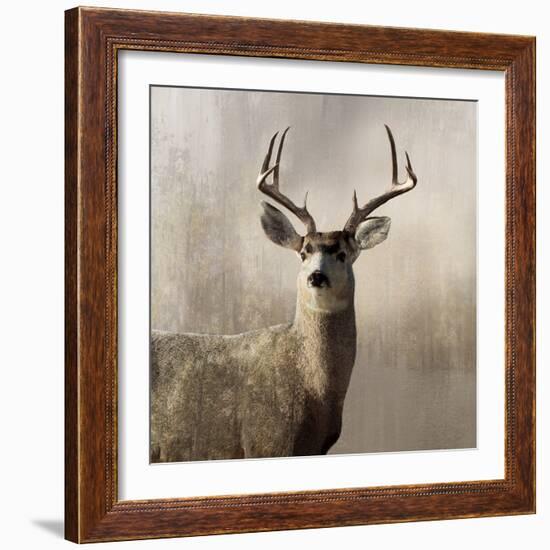 Young Buck-null-Framed Art Print