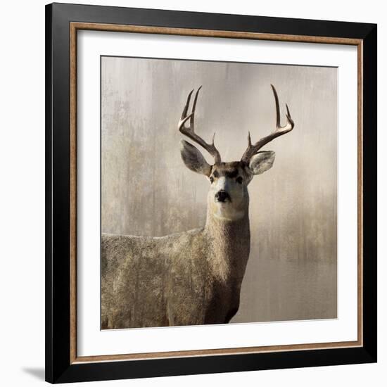 Young Buck-null-Framed Art Print