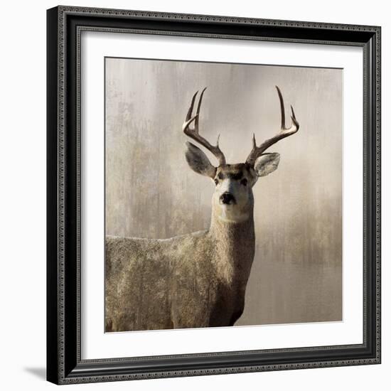 Young Buck-null-Framed Art Print