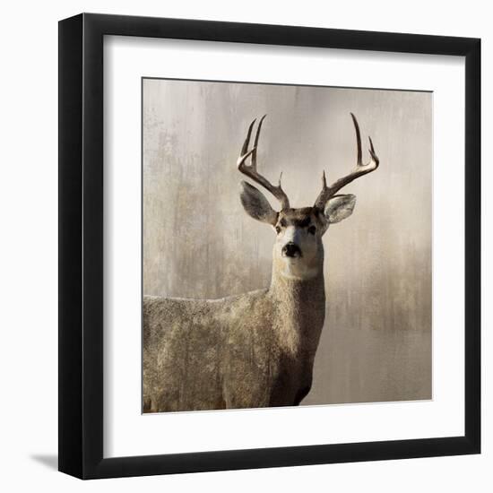 Young Buck-null-Framed Art Print