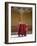 Young Buddhist Monks, Paro Dzong, Paro, Bhutan, Asia-Angelo Cavalli-Framed Photographic Print