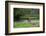 Young Bull Elk in the National Bison Range, Montana-James White-Framed Photographic Print