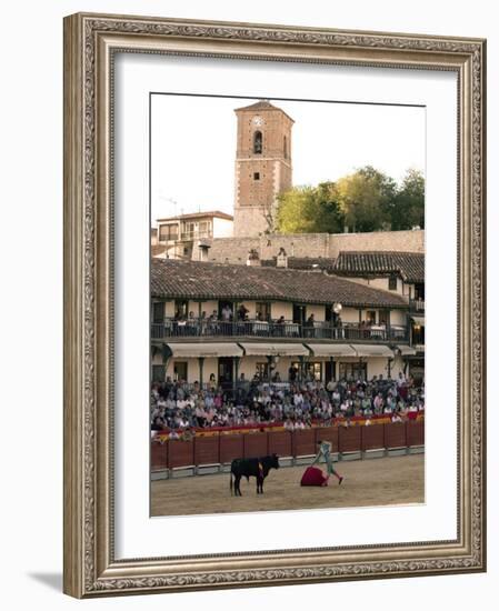 Young Bulls in the Main Square Used as the Plaza De Toros, Chinchon, Comunidad De Madrid, Spain-Marco Cristofori-Framed Photographic Print