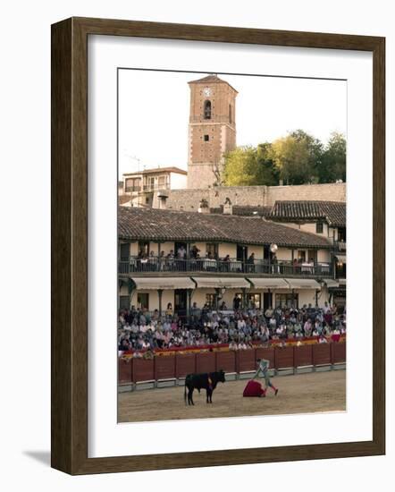 Young Bulls in the Main Square Used as the Plaza De Toros, Chinchon, Comunidad De Madrid, Spain-Marco Cristofori-Framed Photographic Print