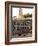 Young Bulls in the Main Square Used as the Plaza De Toros, Chinchon, Comunidad De Madrid, Spain-Marco Cristofori-Framed Photographic Print