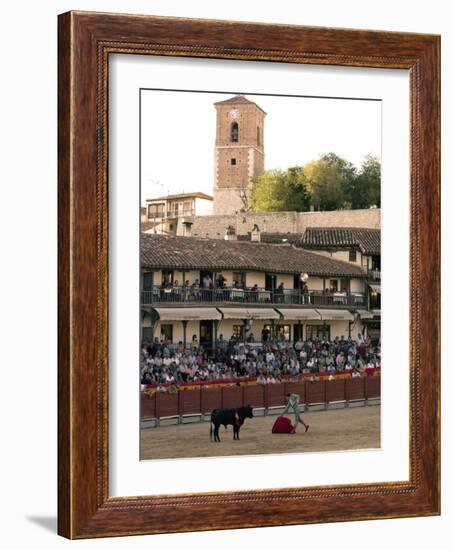 Young Bulls in the Main Square Used as the Plaza De Toros, Chinchon, Comunidad De Madrid, Spain-Marco Cristofori-Framed Photographic Print