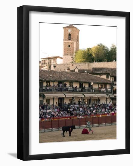 Young Bulls in the Main Square Used as the Plaza De Toros, Chinchon, Comunidad De Madrid, Spain-Marco Cristofori-Framed Photographic Print