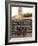 Young Bulls in the Main Square Used as the Plaza De Toros, Chinchon, Comunidad De Madrid, Spain-Marco Cristofori-Framed Photographic Print