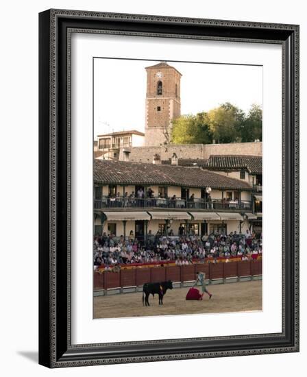 Young Bulls in the Main Square Used as the Plaza De Toros, Chinchon, Comunidad De Madrid, Spain-Marco Cristofori-Framed Photographic Print