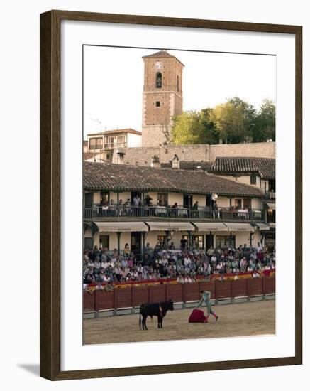 Young Bulls in the Main Square Used as the Plaza De Toros, Chinchon, Comunidad De Madrid, Spain-Marco Cristofori-Framed Photographic Print