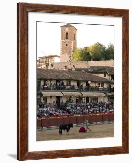 Young Bulls in the Main Square Used as the Plaza De Toros, Chinchon, Comunidad De Madrid, Spain-Marco Cristofori-Framed Photographic Print