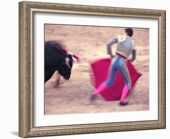 Young Bulls in the Main Square Used as the Plaza De Toros, Chinchon, Comunidad De Madrid, Spain-Marco Cristofori-Framed Photographic Print