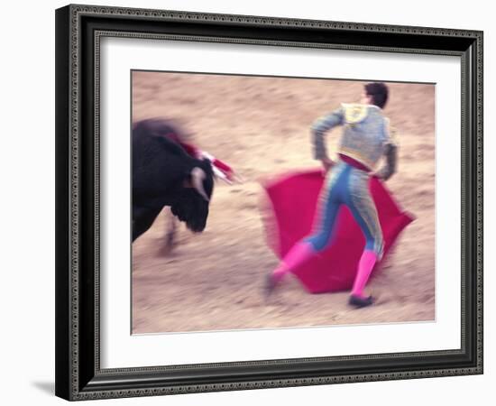 Young Bulls in the Main Square Used as the Plaza De Toros, Chinchon, Comunidad De Madrid, Spain-Marco Cristofori-Framed Photographic Print