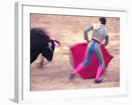 Young Bulls in the Main Square Used as the Plaza De Toros, Chinchon, Comunidad De Madrid, Spain-Marco Cristofori-Framed Photographic Print