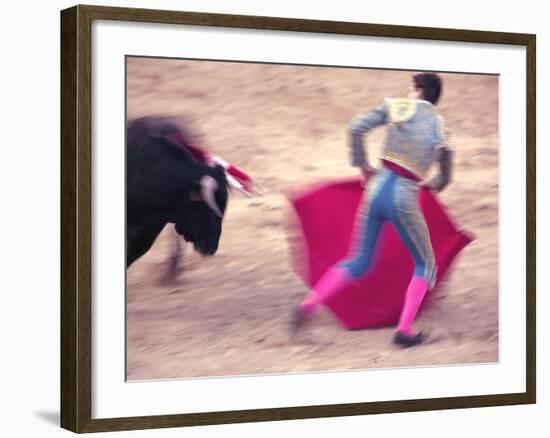 Young Bulls in the Main Square Used as the Plaza De Toros, Chinchon, Comunidad De Madrid, Spain-Marco Cristofori-Framed Photographic Print