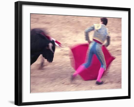 Young Bulls in the Main Square Used as the Plaza De Toros, Chinchon, Comunidad De Madrid, Spain-Marco Cristofori-Framed Photographic Print