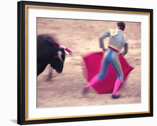 Young Bulls in the Main Square Used as the Plaza De Toros, Chinchon, Comunidad De Madrid, Spain-Marco Cristofori-Framed Photographic Print