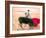 Young Bulls in the Main Square Used as the Plaza De Toros, Chinchon, Comunidad De Madrid, Spain-Marco Cristofori-Framed Photographic Print