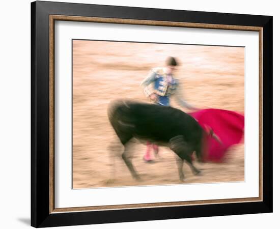 Young Bulls in the Main Square Used as the Plaza De Toros, Chinchon, Comunidad De Madrid, Spain-Marco Cristofori-Framed Photographic Print