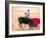 Young Bulls in the Main Square Used as the Plaza De Toros, Chinchon, Comunidad De Madrid, Spain-Marco Cristofori-Framed Photographic Print