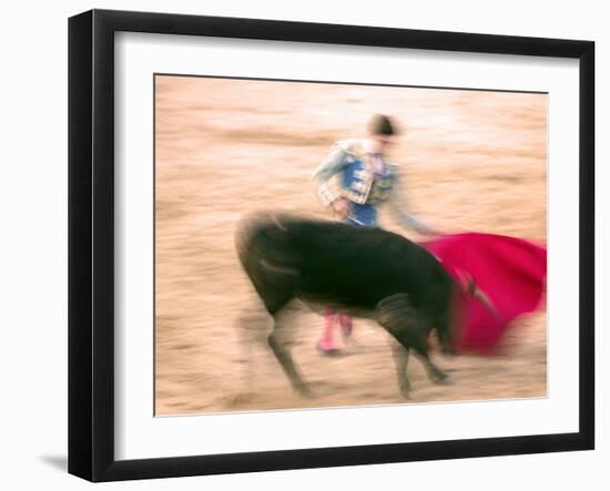 Young Bulls in the Main Square Used as the Plaza De Toros, Chinchon, Comunidad De Madrid, Spain-Marco Cristofori-Framed Photographic Print