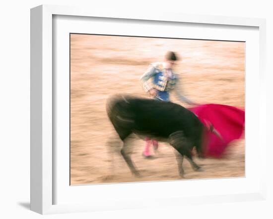 Young Bulls in the Main Square Used as the Plaza De Toros, Chinchon, Comunidad De Madrid, Spain-Marco Cristofori-Framed Photographic Print