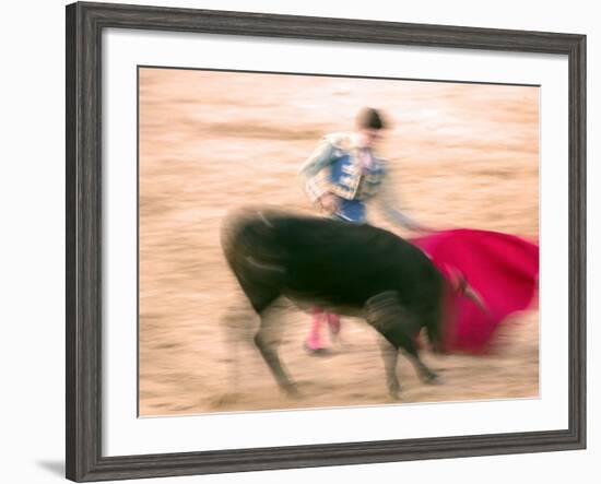 Young Bulls in the Main Square Used as the Plaza De Toros, Chinchon, Comunidad De Madrid, Spain-Marco Cristofori-Framed Photographic Print