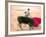 Young Bulls in the Main Square Used as the Plaza De Toros, Chinchon, Comunidad De Madrid, Spain-Marco Cristofori-Framed Photographic Print