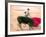 Young Bulls in the Main Square Used as the Plaza De Toros, Chinchon, Comunidad De Madrid, Spain-Marco Cristofori-Framed Photographic Print