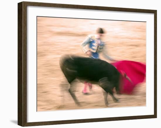 Young Bulls in the Main Square Used as the Plaza De Toros, Chinchon, Comunidad De Madrid, Spain-Marco Cristofori-Framed Photographic Print