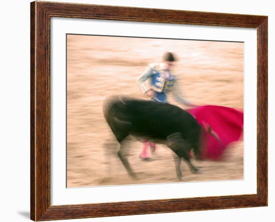 Young Bulls in the Main Square Used as the Plaza De Toros, Chinchon, Comunidad De Madrid, Spain-Marco Cristofori-Framed Photographic Print