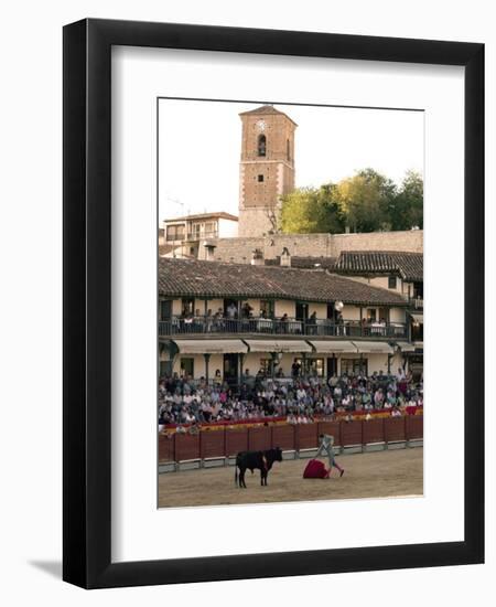 Young Bulls in the Main Square Used as the Plaza De Toros, Chinchon, Comunidad De Madrid, Spain-Marco Cristofori-Framed Photographic Print