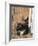 Young Cat with Mother-Andrea Haase-Framed Photographic Print