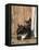 Young Cat with Mother-Andrea Haase-Framed Premier Image Canvas