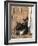 Young Cat with Mother-Andrea Haase-Framed Photographic Print