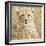 Young Cheetah-Susann Parker-Framed Photo