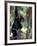 Young Chimpanzee Male, Gombe National Park, Tanzania-Kristin Mosher-Framed Photographic Print