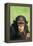 Young Chimpanzee-DLILLC-Framed Premier Image Canvas