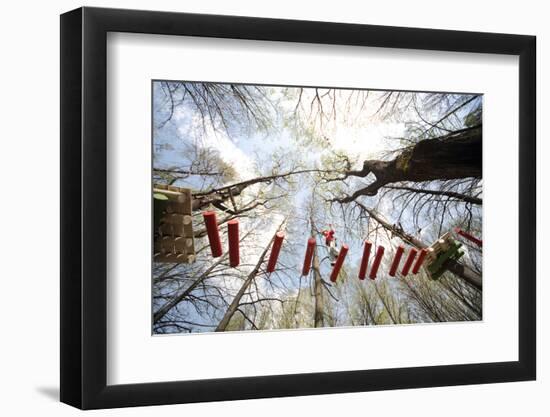 Young Climber Go on a Suspension Bridge on High Ropes Course, Bottom View.-Paha_L-Framed Photographic Print