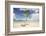 Young coconut palm tree establishing itself on an island, Fiji, Pacific-Don Mammoser-Framed Photographic Print