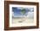 Young coconut palm tree establishing itself on an island, Fiji, Pacific-Don Mammoser-Framed Photographic Print