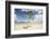 Young coconut palm tree establishing itself on an island, Fiji, Pacific-Don Mammoser-Framed Photographic Print