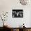 Young Conductors-Alfred Eisenstaedt-Premium Photographic Print displayed on a wall