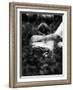 Young Couple at Woodstock Music Festival-Bill Eppridge-Framed Photographic Print