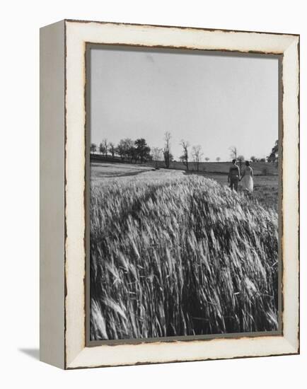 Young Couple Walking by a Grain Field-Ed Clark-Framed Premier Image Canvas