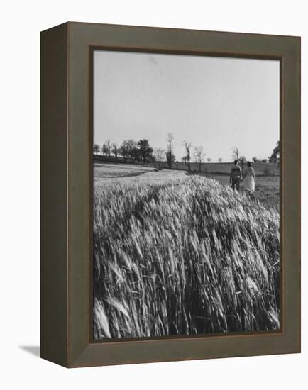 Young Couple Walking by a Grain Field-Ed Clark-Framed Premier Image Canvas