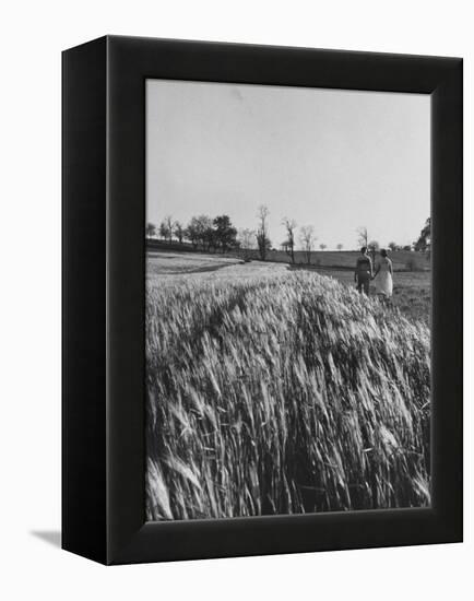 Young Couple Walking by a Grain Field-Ed Clark-Framed Premier Image Canvas